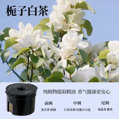 and Sea Aromatherapy Machine New Car | Car Perfume Aromatherapy - incense-box-gardenia-white-teaupgraded-model