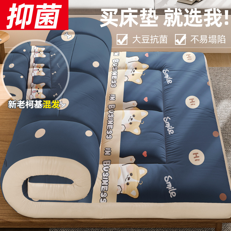 코지 [업그레이드 클래스 A 대두 항균] 6cm 소프트 매트리스