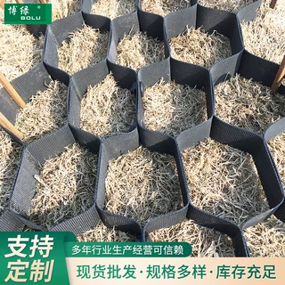 六边形土工格室定制 坡面蜂巢打孔护坡园林绿化蜂巢立体土工格室