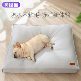 狗狗服装;狗狗窝/笼/垫;猫猫窝/笼/垫