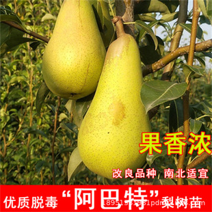 �����S�����޽������������ش���S��������Ա��Ϸ�ͥԺ�Nֲ