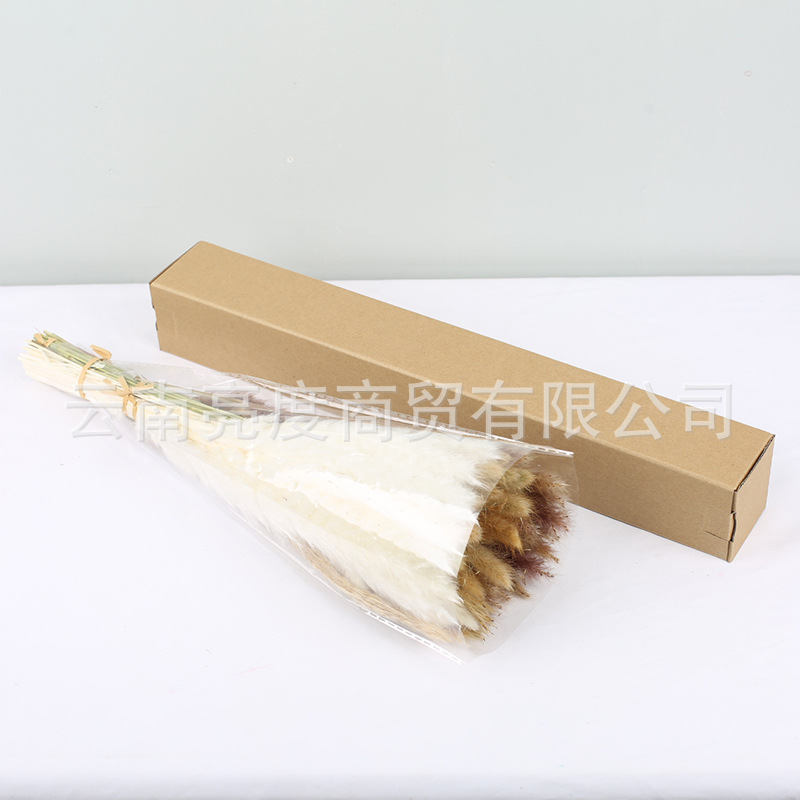 Pampas naturales ramo de flores secas cola de conejo hierba pequeña Reed polvo Reed madera estilo bohemio decoración del hogar