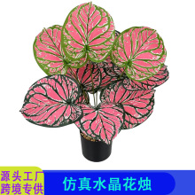 �羳��������Gֲ�����~�Ӽ٘�Ҿӈ@�־G���b�c�����������l