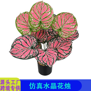 �羳��������Gֲ�����~�Ӽ٘�Ҿӈ@�־G���b�c�����������l
