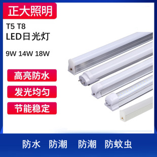 LED���_�Б�����T5/T8�չ����DC12V24V36V����ҹ��1.2���X�ܟ���