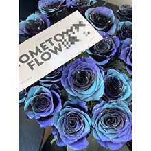 �r�����Ç������Ⱦõ������m��⇊ɫ���ɻ�Ⱦɫ���F�ʇ��ԇ���