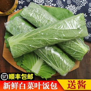 Fresh Northeastern Cabbage Leaves for Rice Rolls, Ready-To-Eat Vegetable Wraps with Dipping Sauce, 20 Leaves for Wholesale