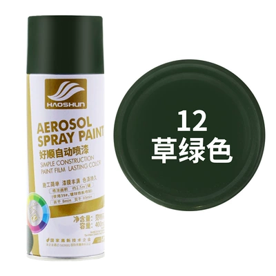 Haoshun Gold Color Self-Applied Spray Avtomobil boya qələmləri - c12-grass-green