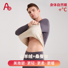德绒男士带领保暖内衣套装A类蚕丝羊绒抗菌发热秋衣秋裤保暖衣男