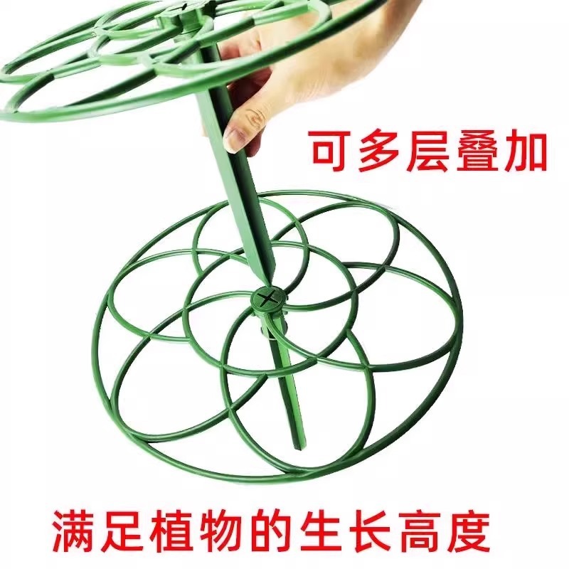 太阳花架棒棒糖造型架防倒伏花架子多层蟹爪兰支撑杆植物爬藤固定|undefined