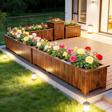 ����ľ�������ͥԺ�Nֲ���L����ľ���۴�̖��ľ�����̨�N����