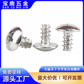 M3M 4MTB伞头精密自攻钉304不锈钢十字槽大扁头自攻平尾螺丝