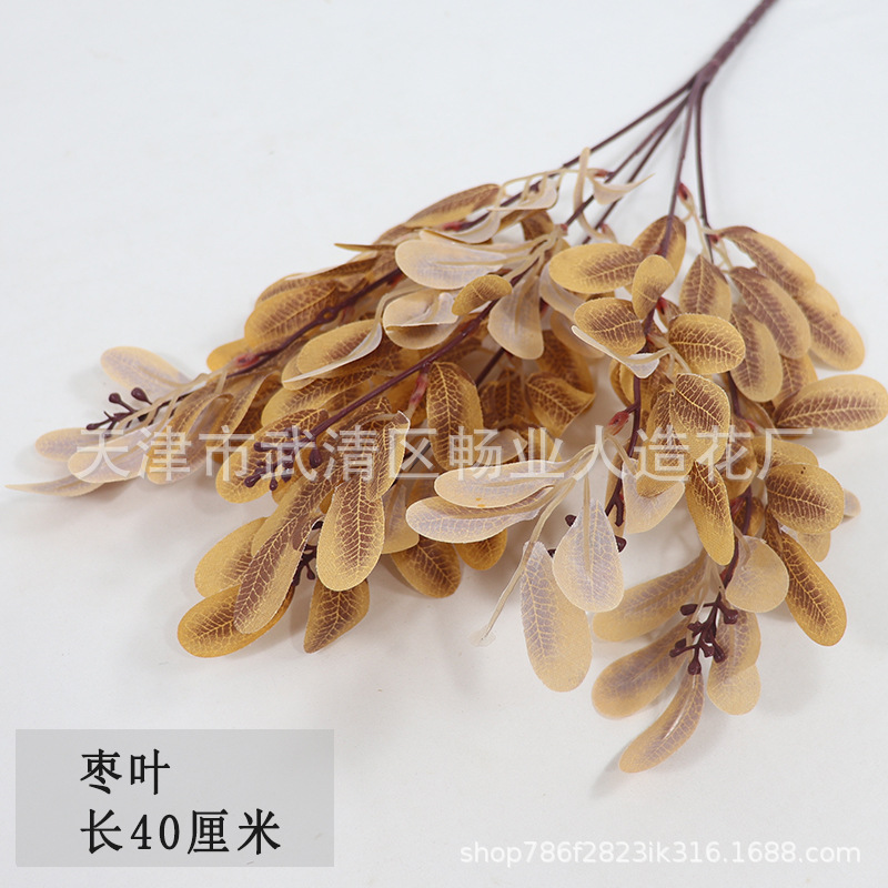 Feuilles de jujube