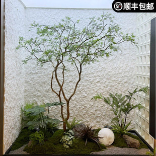 �߶˷�����ë���~���R��ľ�҃ȼ٘�Gֲ�쾰�b����Ř䙻��ֲ��