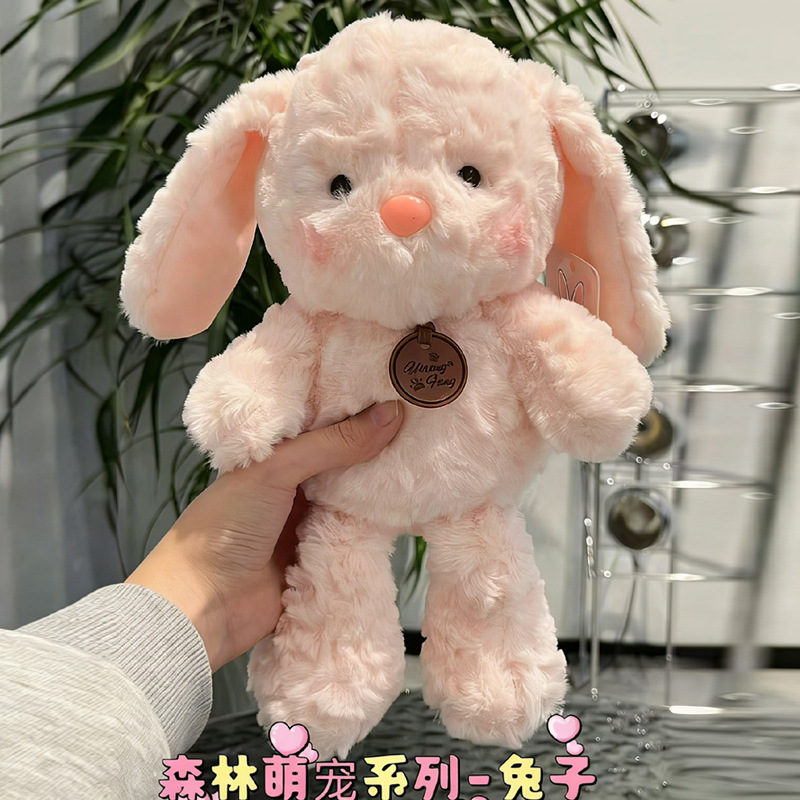 Lindo conejo mascota