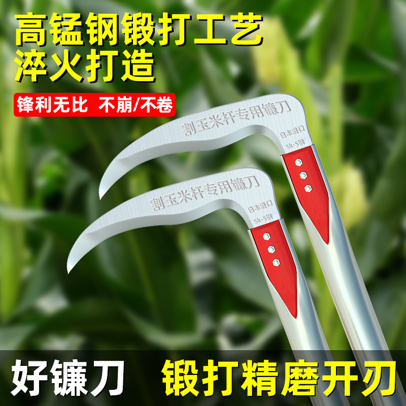 トウモロコシの竿の神器の鎌を切ってトウモロコシの専用のドイツの輸入の農具を切ります。|undefined