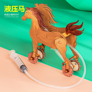 Һ���R�≺�Ƽ�С�����ֹ�DIY�W��steam�����ƌW���߽̲̾����l