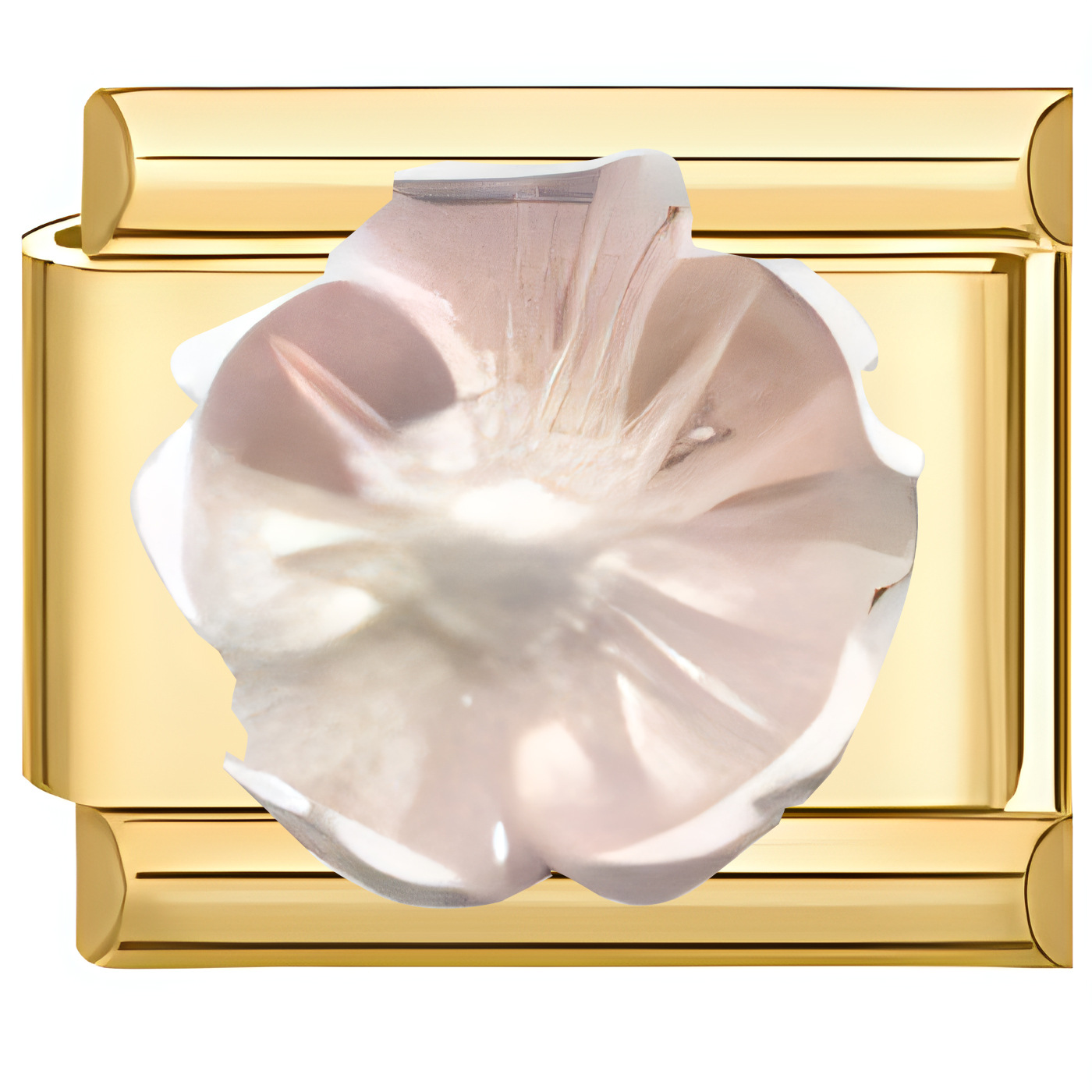 3625-all gold pearl white