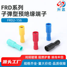 品种繁多 FRD2-156子弹型母全绝缘接头 PVC对接冷压端子1000只