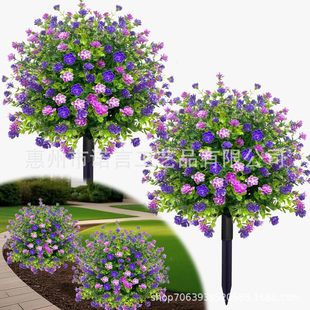 �羳����軨����ֲ��ز�����;Gֲ�٘䎧�ɹ��쾰�^��ɫ����