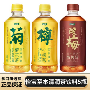 Yibao to Ben Qingrun Chrysanthemum Tea 450ml * 5 bottles of lemon tea plum soup plant beverage summer greasy beverage