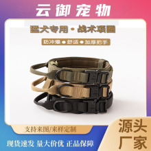 ��������Ȯ���g�Ȧ���{����s�����K�����_����Ӗ�������Ȧ��