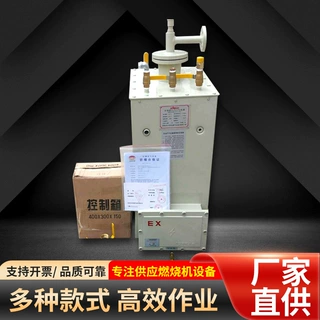 定制气化炉设备50Kg液化气汽化炉加工LNG 防爆燃烧气化炉及配件