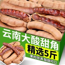 酸角云南特产甜酸角新鲜甜角酸豆角孕期零食酸枣糕罗望子大果酸甜