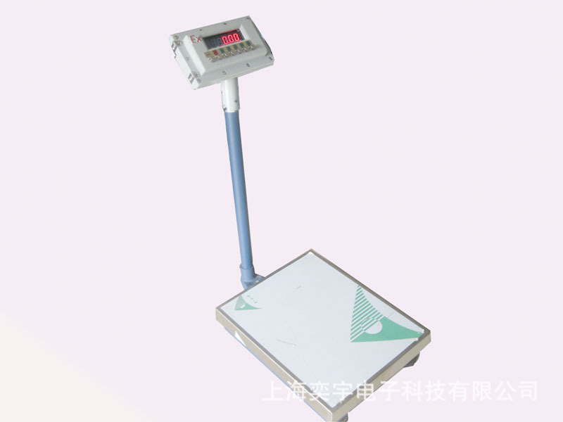 防爆电子秤