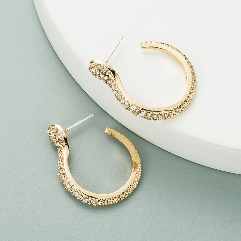 Boucles D&#39;oreilles Simples En Forme De Serpent Exagérées display picture 2