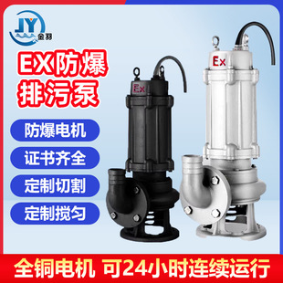 BQW200-350-25-37��ˮ���۱� WQB����EX����վú�V�������۱�