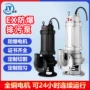 潜水防爆bqw125-100-15-11煤矿潜污泵