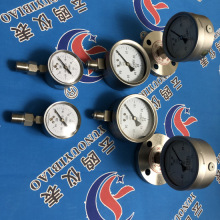 ���P�����Ĥ�Љ�����YENF-1000-10KPa304 YE-100B