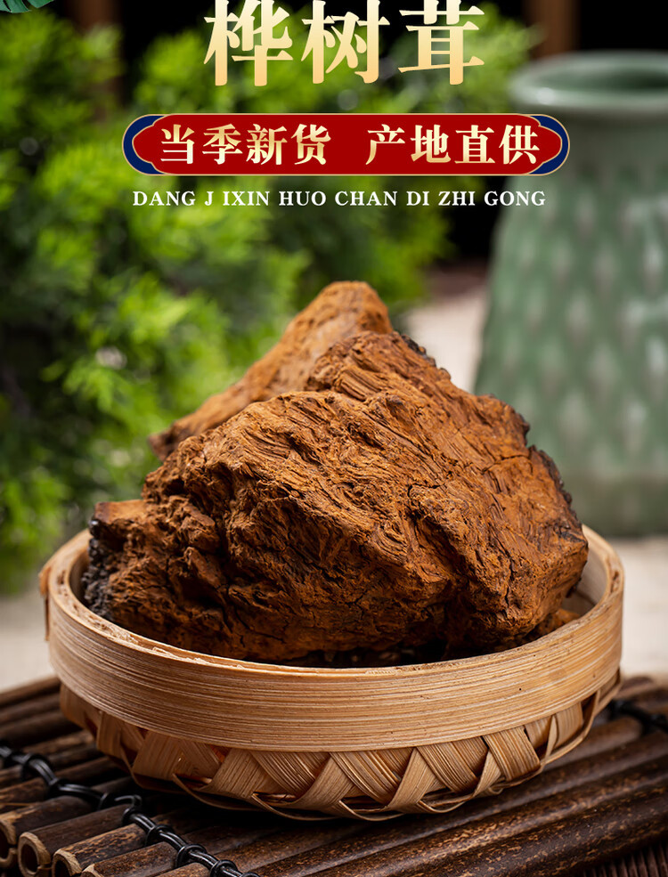Chaga Mushroom Granules Hua Shu Rong 500g Wild Harvested Birch Conk for Daily Herbal Tea and Decoction overview