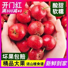 片大山楂干5鲜果冰糖山里红山楂新鲜葫斤装新鲜山楂果批发果批发