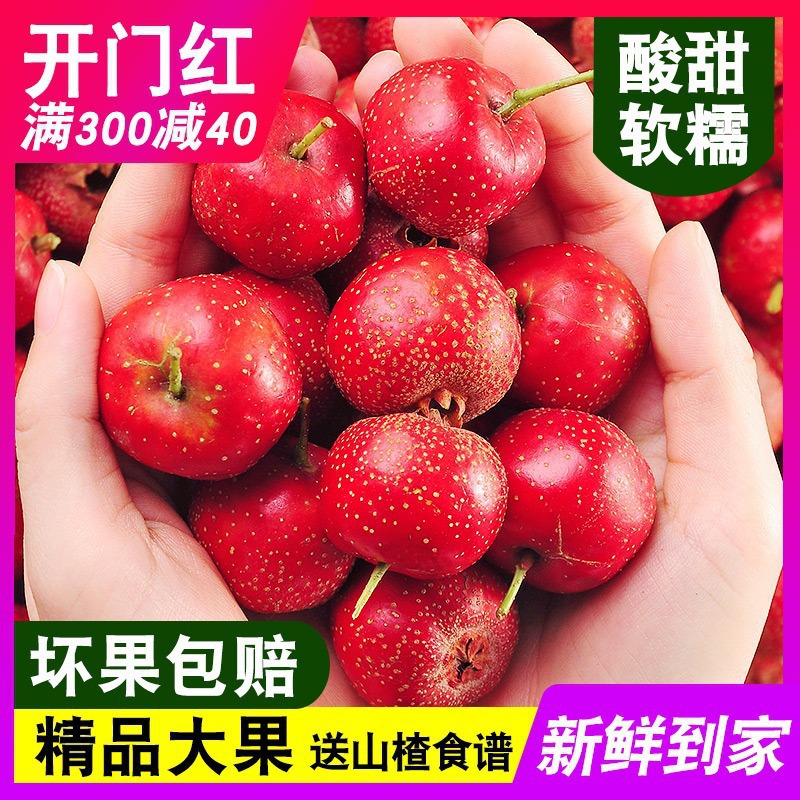 片大山楂干5鲜果冰糖山里红山楂新鲜葫斤装新鲜山楂果批发果批发
