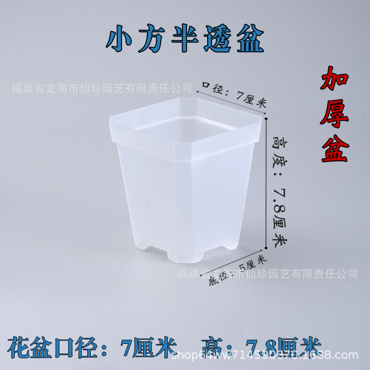 小透盆.jpg