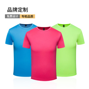 �A�IT������ ����F�w�������\���Ļ��V�����S�Ҷ��ƈF�w��