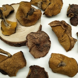 �|���خaҰ����Ģ���ɹ�ճ�����ɶ�ճ�F���ɘ�Ģ�����r����5g