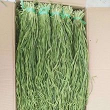 ؼؕ˸5-10ڻʳr̦Û؛Óˮ߲l