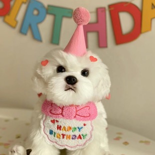 Korean dog dog Party Birthday Hat Bib dog Cat Pet Slippery Bag Slippery Towel Bichon Pet