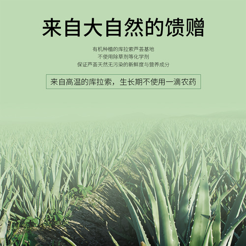 Huafran Curaçao Aloe Vera Gel 99% hydrating and moisturizing men's and women's facial cream after-sun repair large-capacity aloe vera gel
