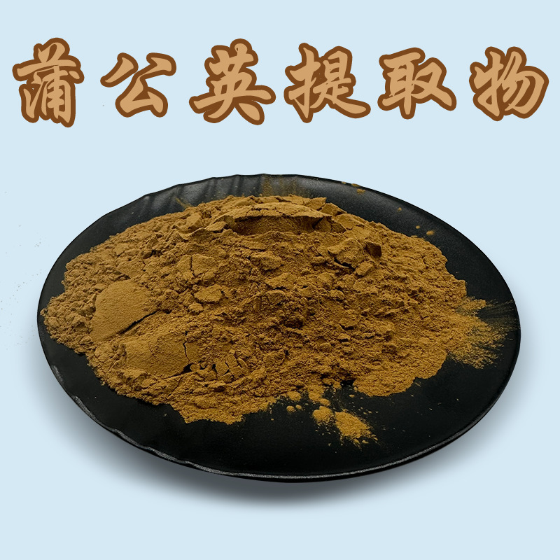 现货批发蒲公英提取物 30:1蒲公英粉 蒲公英根提取物 蒲公英黄酮