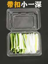 带扣小一深一次性透明食品级方形带盖烤鸭葱丝调料盒子打包包装盒