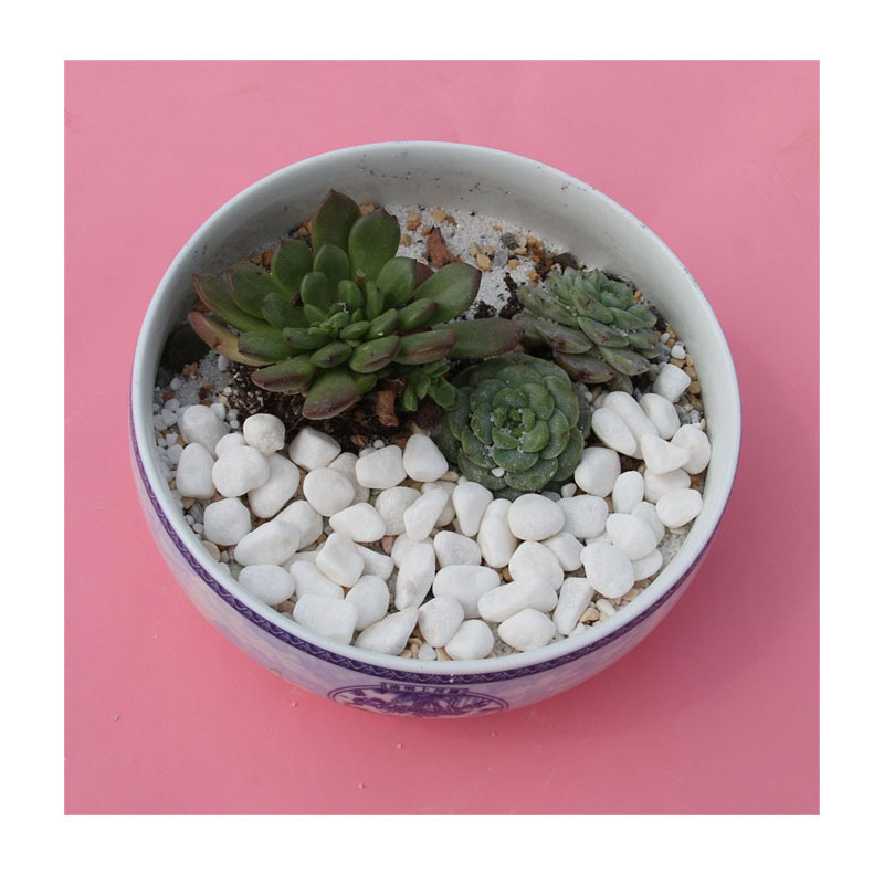 Ȼɫʯɽֱɣ5-20mm ʯ ׵ɰ쾰ʯ