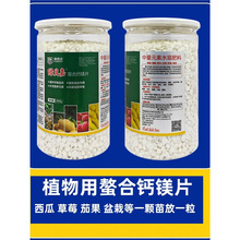 �����}�VƬ���ѹ������߲��辰����Ϲ���ݮ������������}���V��