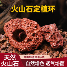 跨境水草固定种植红色打孔火山石大块定植环鱼缸造景装饰底座