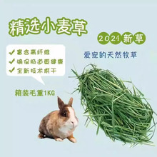 øɲݺСòӲݺmi؈üZ1000g]