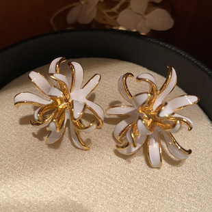 �W���羳���Q���|�F�����w�������h��ʽ�����Lins�W�t����Ķ��