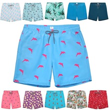 B 29250 Men's Flamingo Print Swim Shorts ɳ̲�� �羳��Ӧ